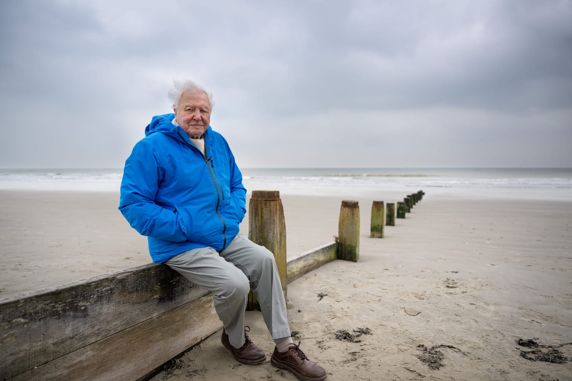 David Attenborough sits on a beach