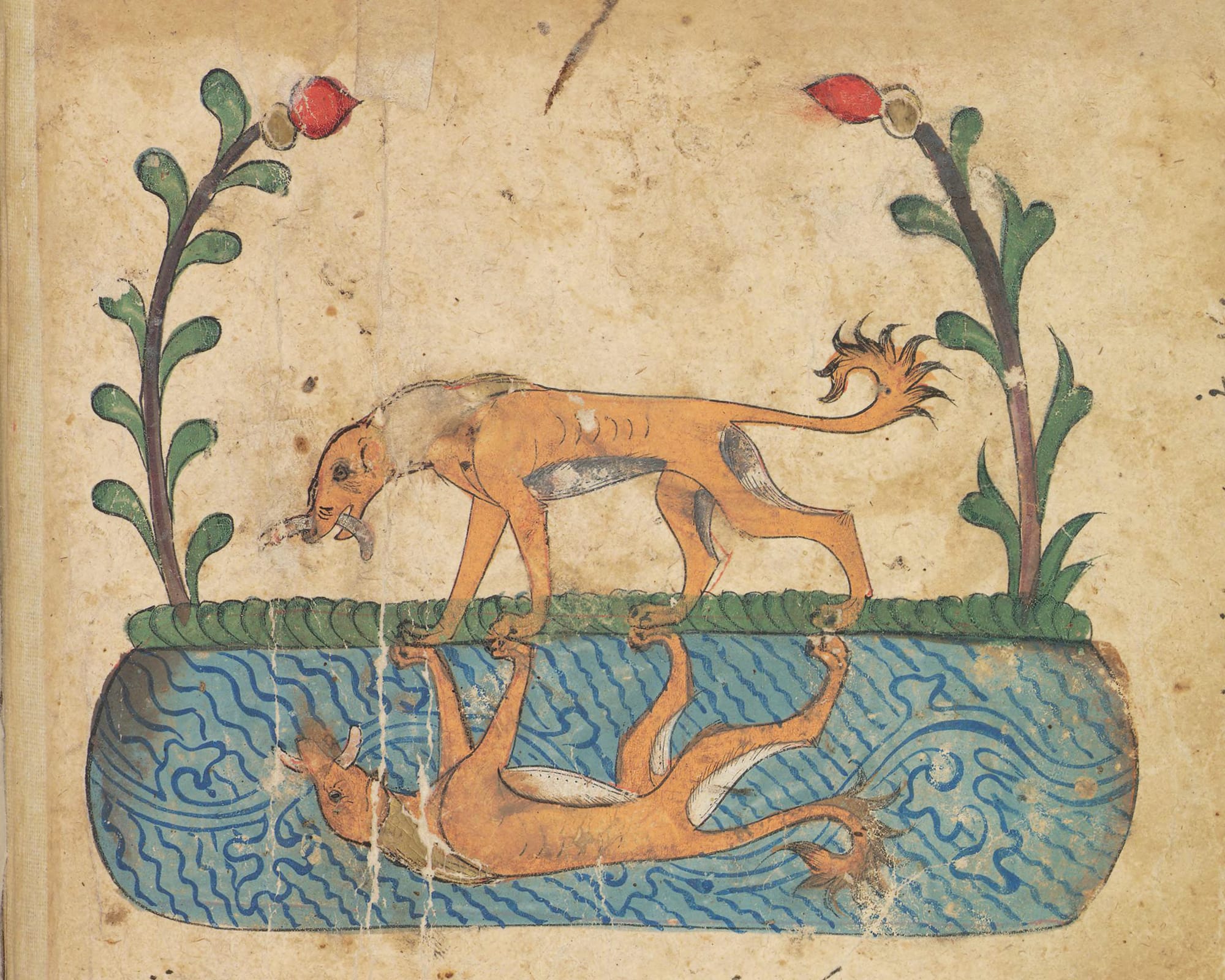 old illustration of a dog looking at his reflection in the water